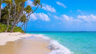 Tropical Beach: 12 Hours of Pure Coastal Calm. Ocean Waves Sounds