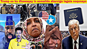 #USA🇺🇸: Trump oo amar ku bixiyay in Somalida sharciga lagala noqdo & badhis lagu sameynayo Minnesota