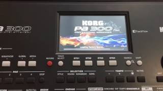 Korg pa300 plus import and export samples wav
