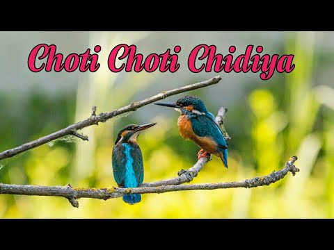 Choti Choti Chidiya Song  Children Song Christian song By Mr  Mrs Tete  jesussong