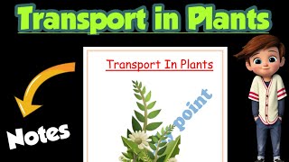 | Transport in plants | Best Handwritten Notes |Class 11| Biology | Ch-11 | @Edustudy_point