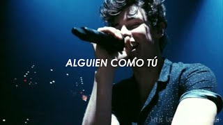 Use Somebody Shawn Mendes (Cover) Traducida