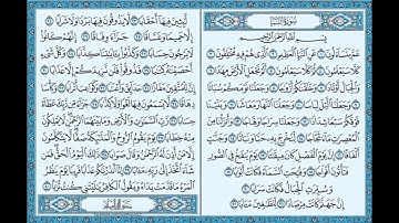 ما تيسر من سوره النبا بصوت القارئ عبدالرحمن محمد يونس كشك