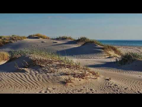 Nordsee Dünen Изображения: просматривайте стоковые фотографии, векторные изображ