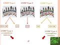 Gnmp  actualits en physiopathologie partie 01