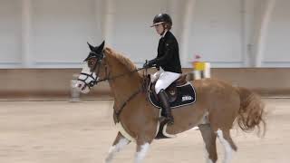 Hellsten Siiri Leon Ii 115Cm Stable Nova 26.-28.10.2018