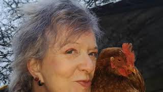 www.EricaArnold.ch #51 Huhn Jenny geht in die Ferien