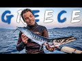 Barracuda tries to attack me  spearfishing greece pt1