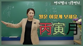 [명지쌤의 명리 인문학] 월운은 이렇게 보세요 병인월(丙寅月)