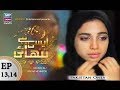 Watch Aisi Hai Tanhai Episode 13 & 14 - ARY Zindagi Drama Online In HD
