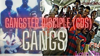 Famous 5 Gangster Disciple Gangs (GDs) | Chicago | Part 1 Profile