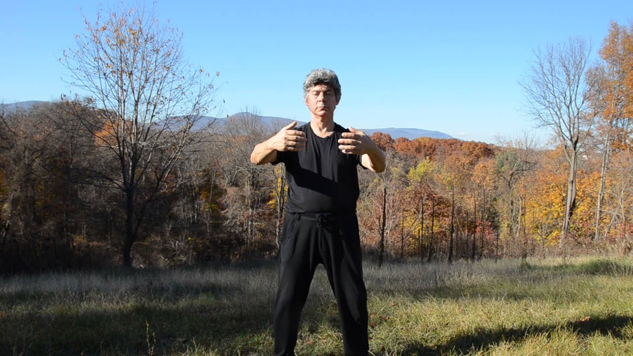 Qigong - Embrace a Tree lead by Paul Bloom Woodstock NY & Costa Rica