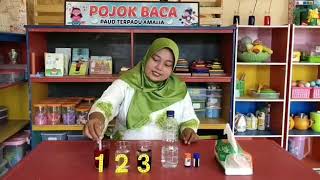 Juara 2 Lomba Video Pembelajaran PAUD (Fajar Susanti) PAUD Terpadu Amalia Banjarbaru.