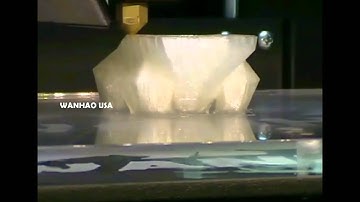 Wanhao Duplicator 5 - 3D Printing a Bulbasaur Pokémon