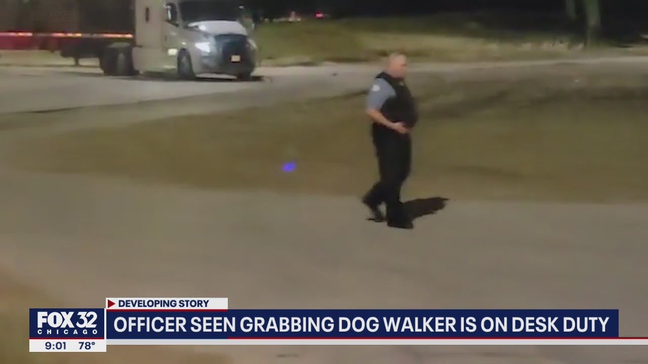 Chicago cop seen grabbing Black woman walking her dog placed on desk duty