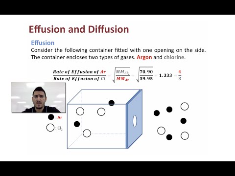 Video: Forskellen Mellem Diffusion Og Effusion