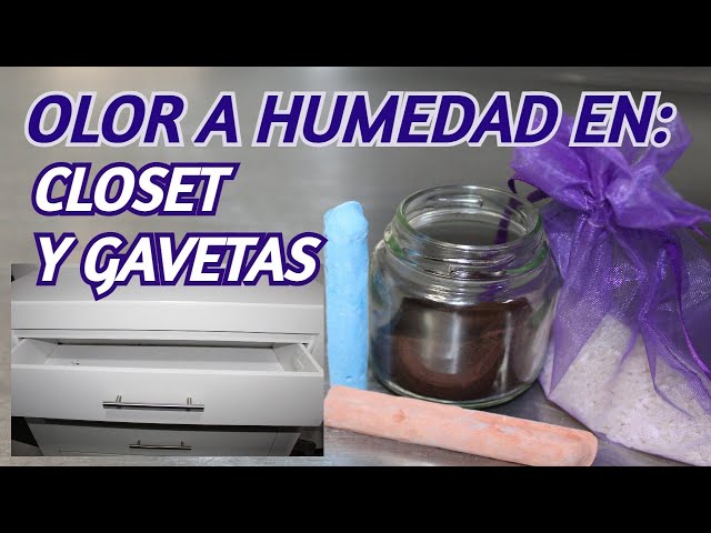 Cómo quitar la humedad de una habitación