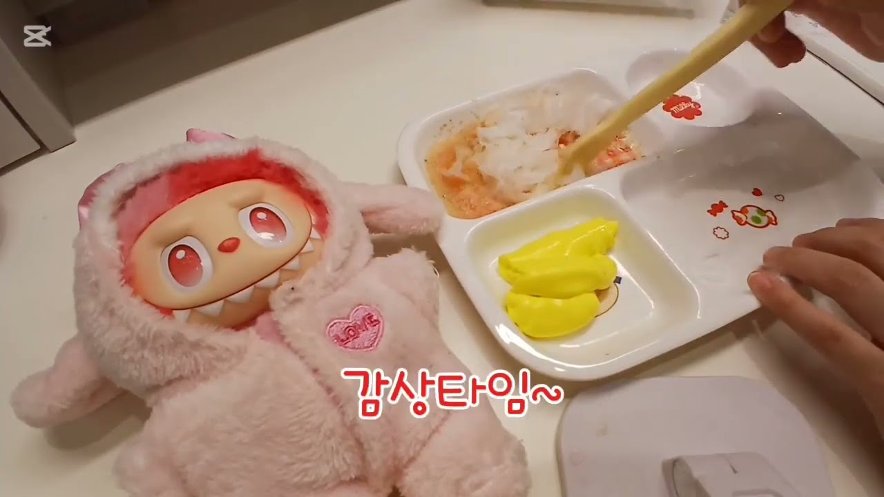 오늘  새로운 친구가 왔어요!!