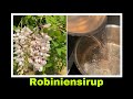 Robiniensirup | Sirup aus Robinienblüten | Selbstversorgung: Robinie, falsche Akazie