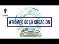 #Tiempo de la Creación - Bolsas