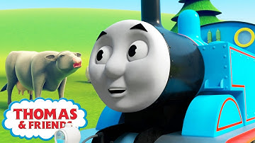 Thomas & Percy on a Farm | NEW | 🚂 Learning Series S2 | Thomas & Friends™