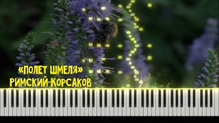 Полет шмеля - Н.А. Римский-Корсаков / (Flight of the Bumblebee - A. N. Rimsky-Korsakov)