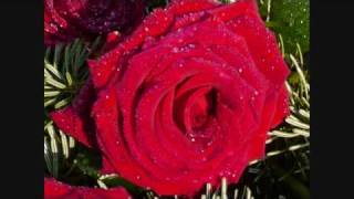 Maras - Hasan Ilter Muhsi̇n Yazicioğlu İçi̇n (Siir)