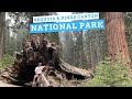 Labor Day Weekend at Sequoia &amp; Kings Canyon National Park (2020) | Travel Vlog #43