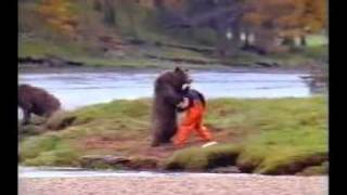 Funny Bear and Salmon Fisherman Commercial