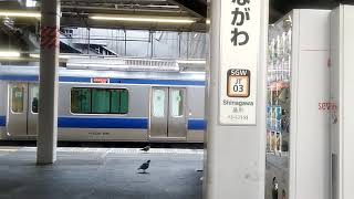 【E531系に注目】JR東海道線品川駅発車メロディー『鉄道唱歌』