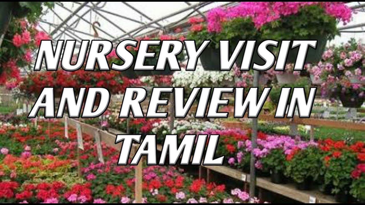 MADURAI NURSERY VISIT AND REVIEW IN TAMIL YouTube