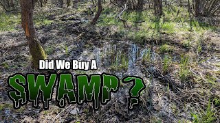 Did we buy a SWAMP?!