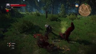 THE WITCHER 3 | A couple of brutal double-kills from Geralt's adventures.