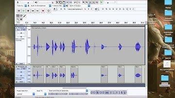 Assignment 1 Tutorial
