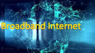 Spider Mesh - IT Solutions Company