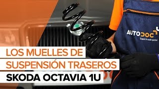 Montaje Muelles amortiguadores parte delantera, izquierda y derecha SKODA OCTAVIA: vídeo manual