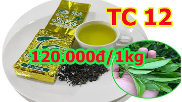 Chè Thái Nguyên | Trà Thái Nguyên ngon - TC12 | HTX Trà Xanh Thái Nguyên