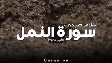 الاية(١٩:١٨)//سورة النمل//إسلام صبحي//تلاوه خاشعه//فيديوهات إسلامية//Quran-on