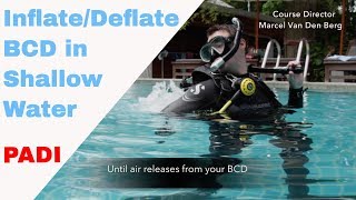 Download Lagu BCD Inflate \u0026 Deflate at the surface • PADI Open Water Diver Course • Scuba Diving Tips MP3 Download Lagu BCD Inflate \u0026 Deflate at the surface • PADI Open Water Diver Course • Scuba Diving Tips MP3