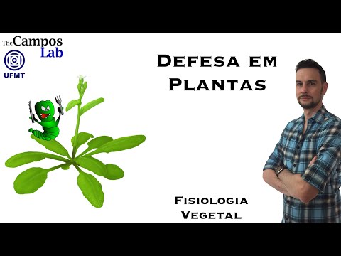 Vídeo: Defesas Interessantes das Plantas - Como uma Planta se Defende dos Predadores