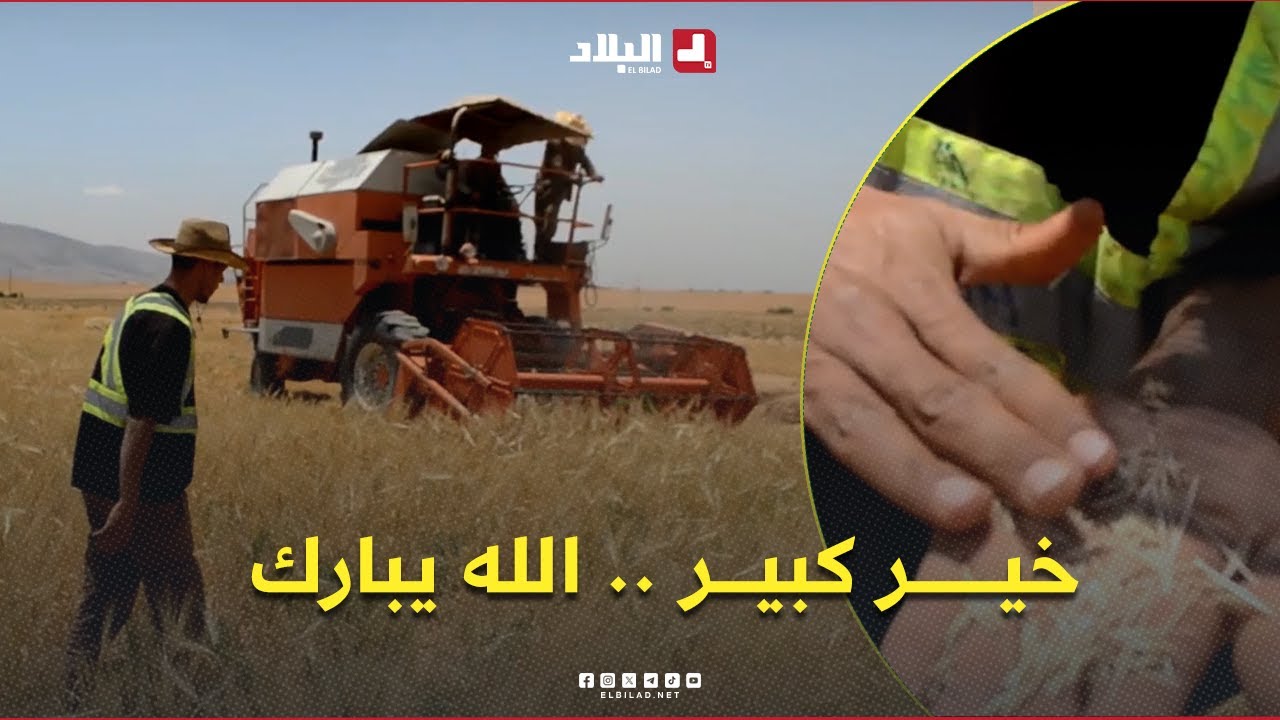 #باتنة: عودة لخدمة الأرض وإقبال على الاستثمار الفلاحي بمنطقة تالخمت