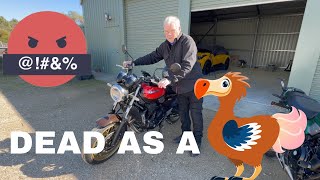 Alexandrina Road | Strathalbyn | Kawasaki Z650RS motorcycle #motovlog