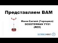 Мини-Сигвей (Гироцикл) SCOOTERMAN YY01 (RED)