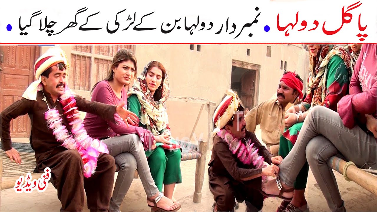 Number Daar Pagal Dolha Funny Video | New Top Funny | Must Watch Top New Comedy Video 2022 |You Tv