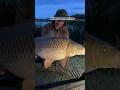 Kleiner See - Große FISCHE 😱‼️ ANGLER TAGEBUCH Teil 80 #karpfenangeln #fishing #shorts