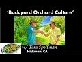 How To Care For Backyard Orchard Fruit Trees  |  'BACKYARD ORCHARD CULTURE' @ Dave Wilson Nursery