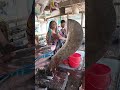 🐟 Giant Fish Cutting 🔪🔥