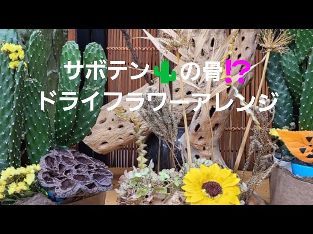 Florist] Dried Flower Arrangement Using Cactus Skeleton! Packed