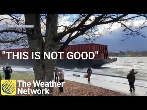 &#039;This is not good at all,&#039; barge runs aground in Vancouver amid storm