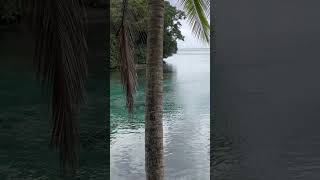 Island Paradise #island ROTUMA, Fiji